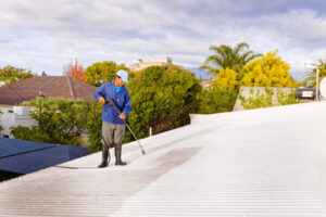 roof cleaning